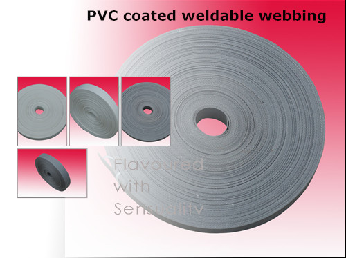 PVC coated weldable webbing